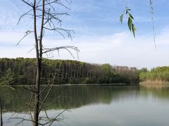 -昆山城市生态森林公园