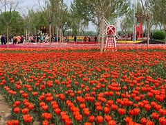 -廊坊文化艺术中心