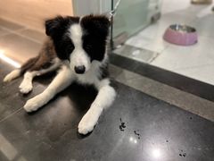 -CAMP.33露营烤肉·团建聚餐(创智天地店)