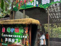 -野象谷景区
