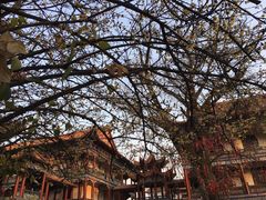 -章华寺