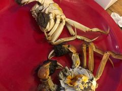 -好伦哥(温都水城店)