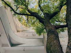 -湖北美术学院(昙华林校区)