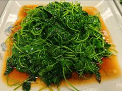 酒香金花菜-协和菜馆(凤凰街店)