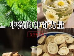 -广州花园酒店