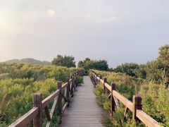 -妙峰山风景名胜区