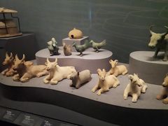 -广西壮族自治区博物馆