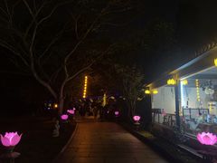 -印象普陀