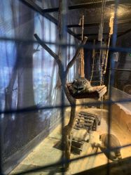 -酷嗒动物文化乐园(cutezoo西溪乐天城店)