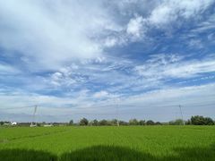-莲花岛景区