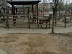 -北京鹿世界主题园