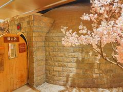 -嘉悦汗蒸时代(曙光路店)