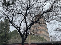 -大慈恩寺(大雁塔)