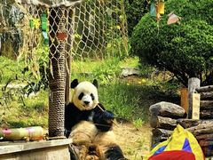 -大连森林动物园