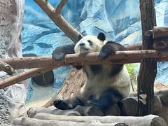 -乐和乐都主题乐园