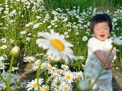 -汉长安城未央宫国家考古遗址公园