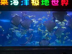 -蓬莱欧乐堡海洋极地世界