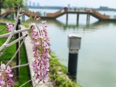 -渤公岛生态公园