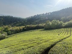 -敬亭山风景名胜区