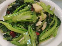 -阿西娅食府(中关村店)