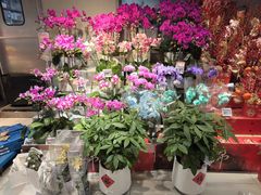 -盒马鲜生(馥邦国际店)