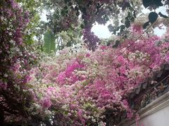 -深圳国际园林花卉博览园