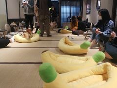 -逗柴咖啡屋·狗咖猫咖宠物桌游