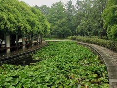 -洛阳市隋唐城遗址植物园