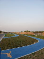 -水八仙生态园
