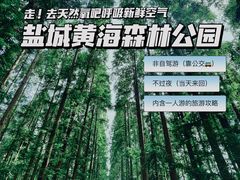 -东台黄海森林公园