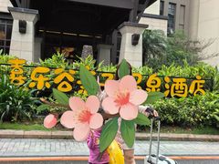 -清远熹乐谷温泉度假酒店