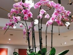 -港丽餐厅(来福士店)