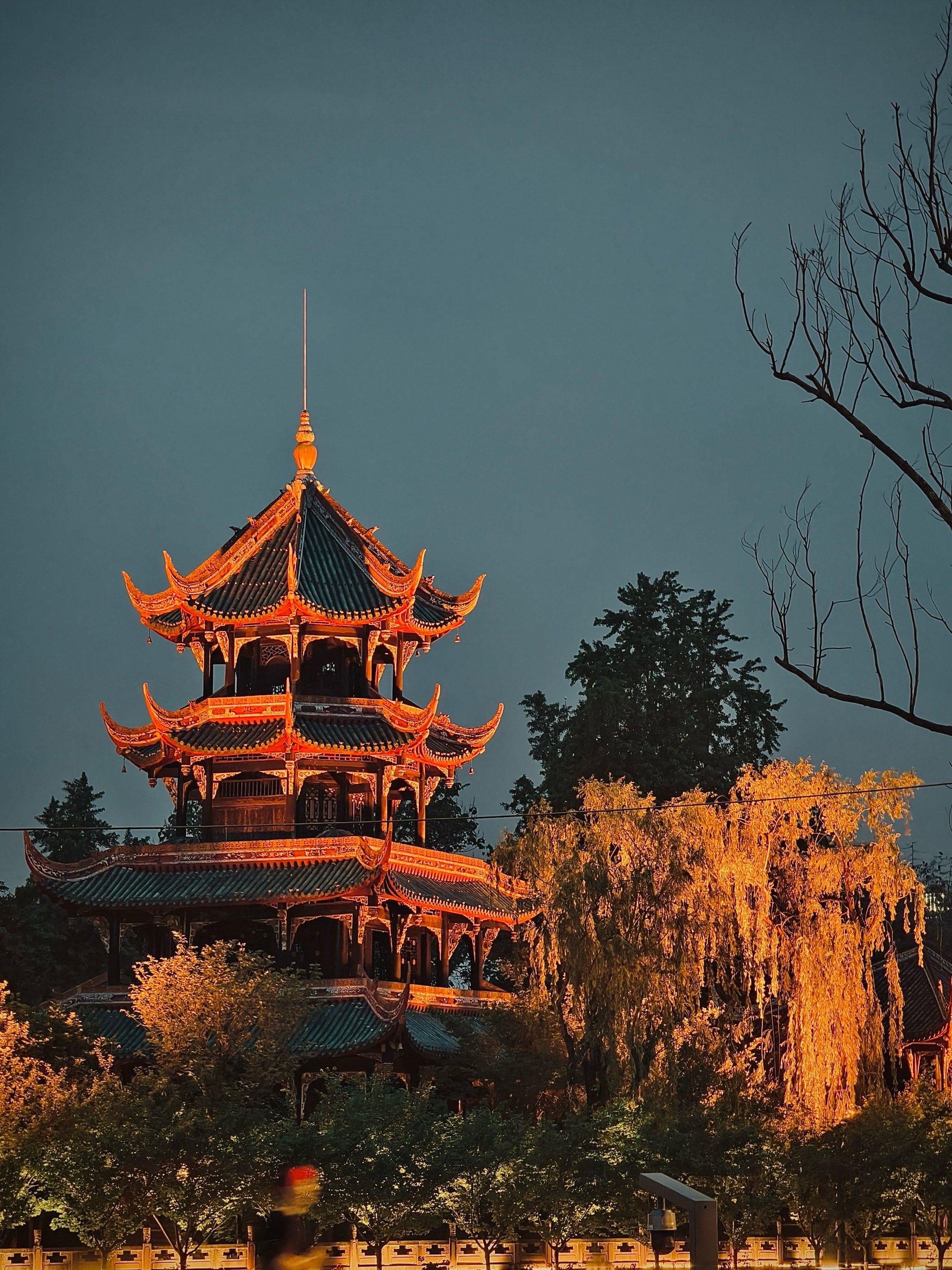 🌸🏞️ 望江楼公园