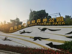 -西双版纳原始森林公园