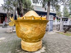 -关林