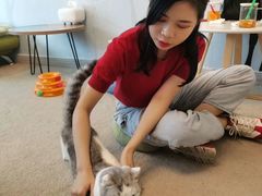 -泰国佛·塔罗·泰牌狐仙古曼