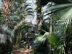 -国家植物园南园