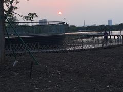 -海珠湖公园