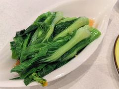 -潮江春(阳光店)