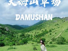 -大姆山草场