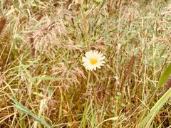 -济南国际园博园