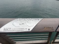 -星光大道