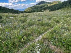 -白草畔自然风景区