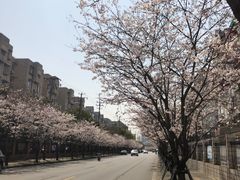 -永乐路-路侧停车场