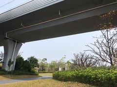 -宝安西湾红树林湿地公园