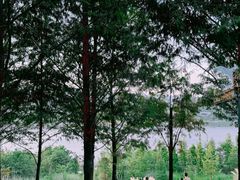 -金海湾滨江公园