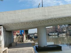 -大湾区中央湿地公园-十九涌