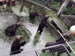 -深圳野生动物园