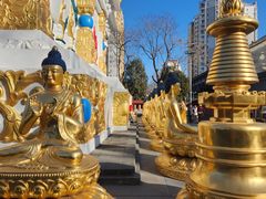 -护国法轮寺