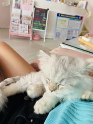 -Beauty Nails 美甲美睫皮肤管理